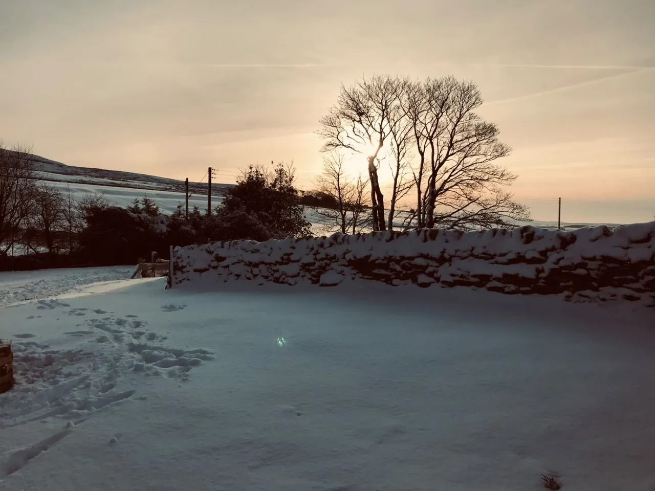 The Old Farmhouse, Saughy Rigg, NE49, photo 31