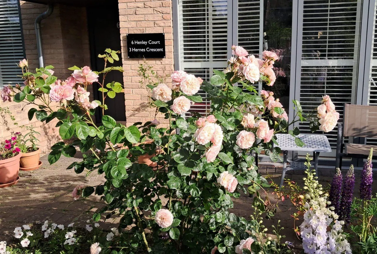 Henley Court, 3 Hernes Crescent, North Oxford, OX2 7PS, photo 10
