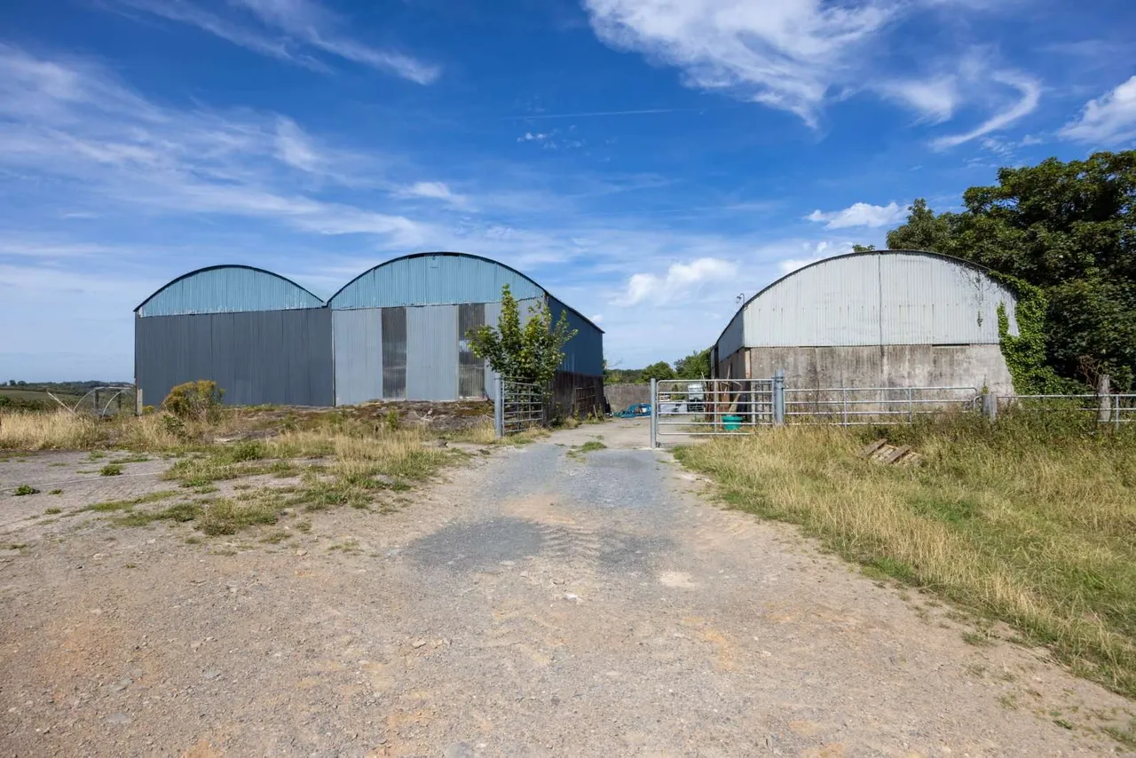 Myra Road, Downpatrick, BT30, photo 7