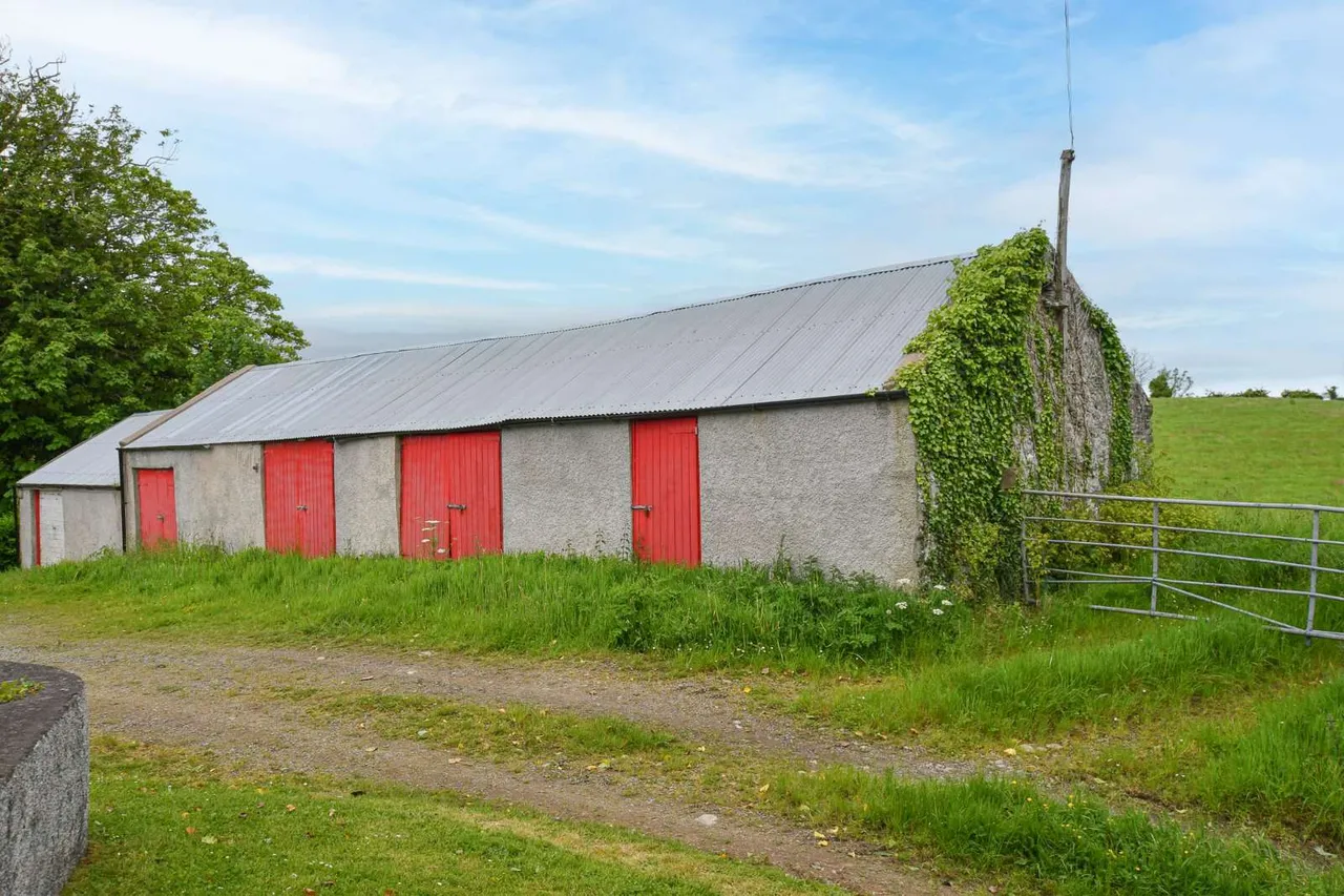 Myra Road, Downpatrick, BT30, photo 8