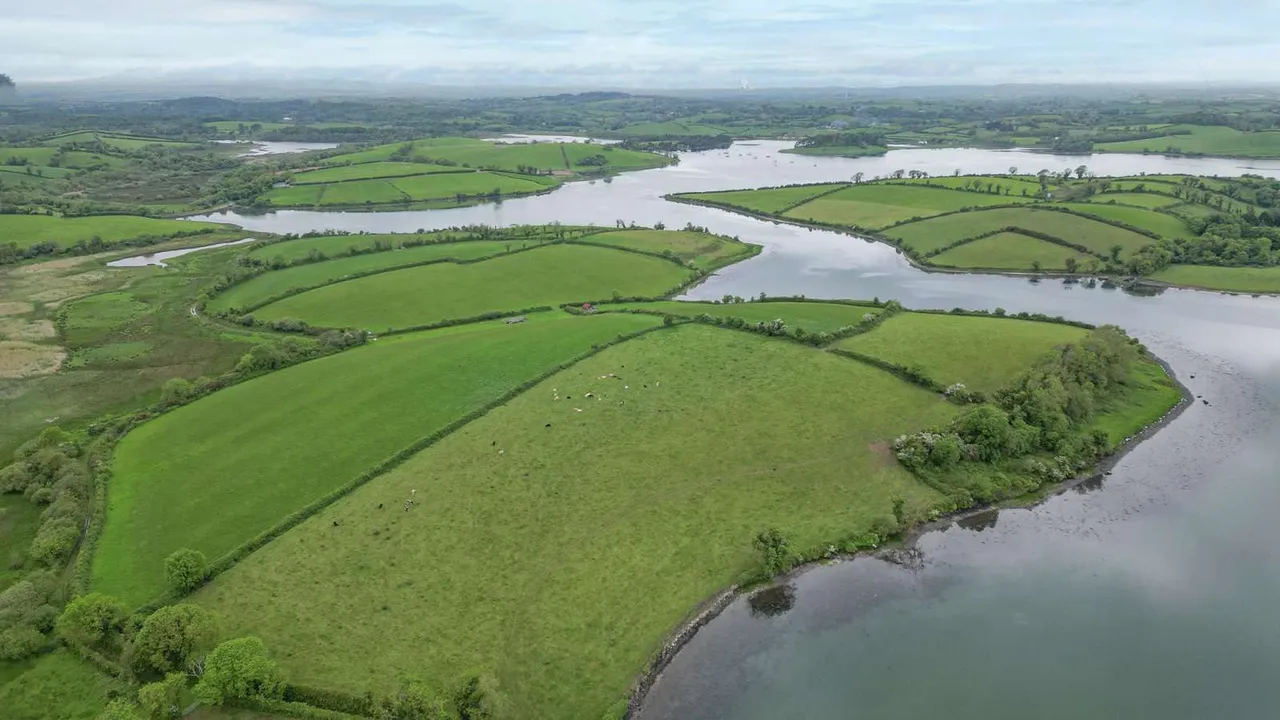Myra Road, Downpatrick, BT30, photo 6