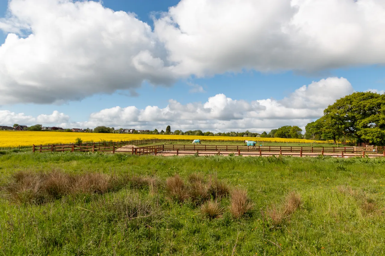 Langtree Lane, Standish, WN6, photo 4