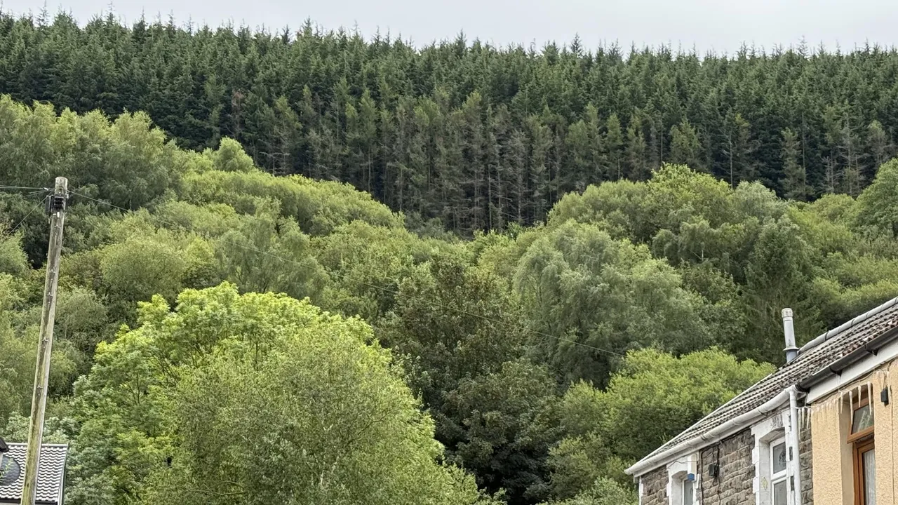 Trehafod Road, Pontypridd, CF37, photo 4