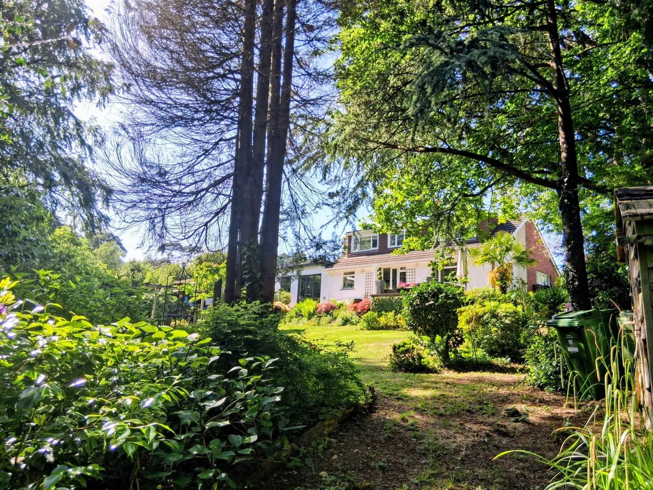 Warren Close, West Hill, EX11, photo 23