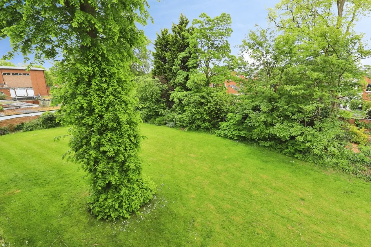 Newbridge Crescent, Wolverhampton, WV6, photo 19