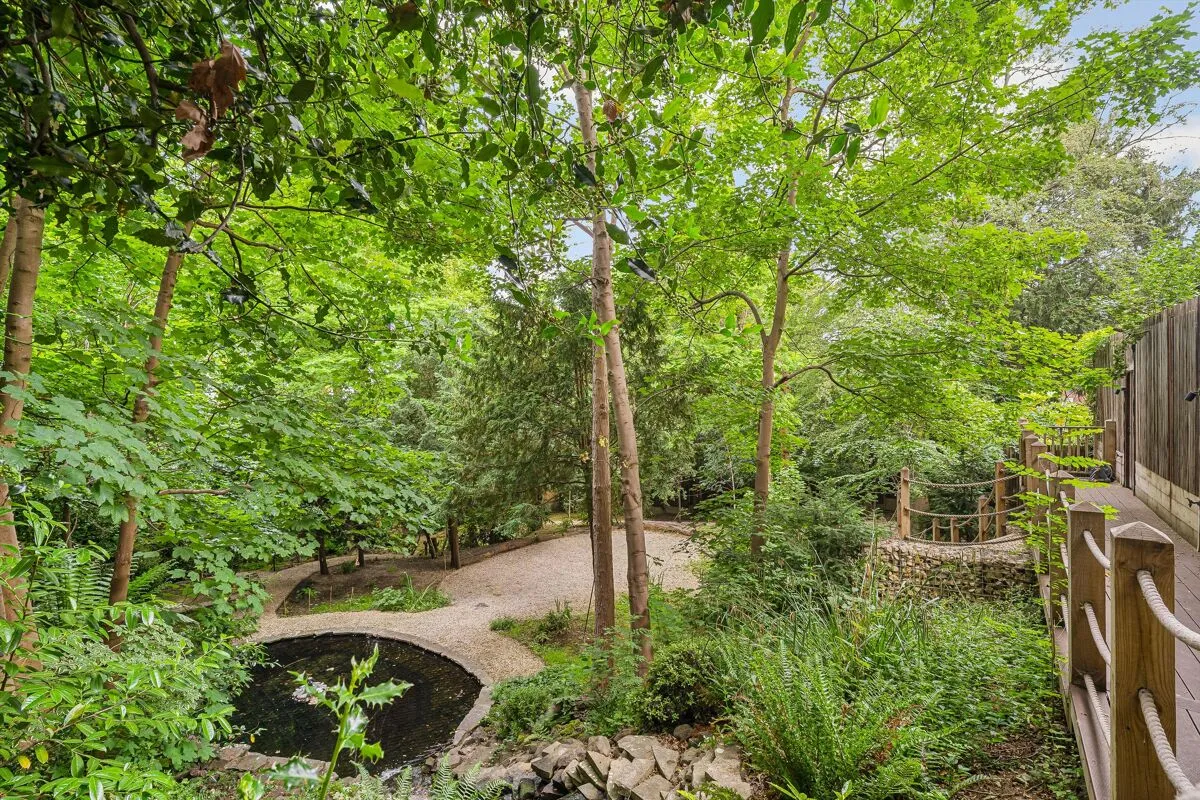 Fountain Drive, London, SE19, photo 26