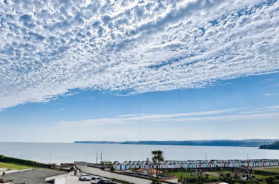Alta Vista Road, Paignton, TQ4, photo 16