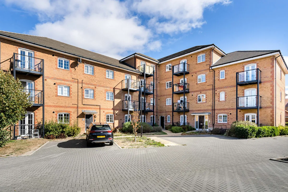 Scots Pine Way, Didcot, photo 15