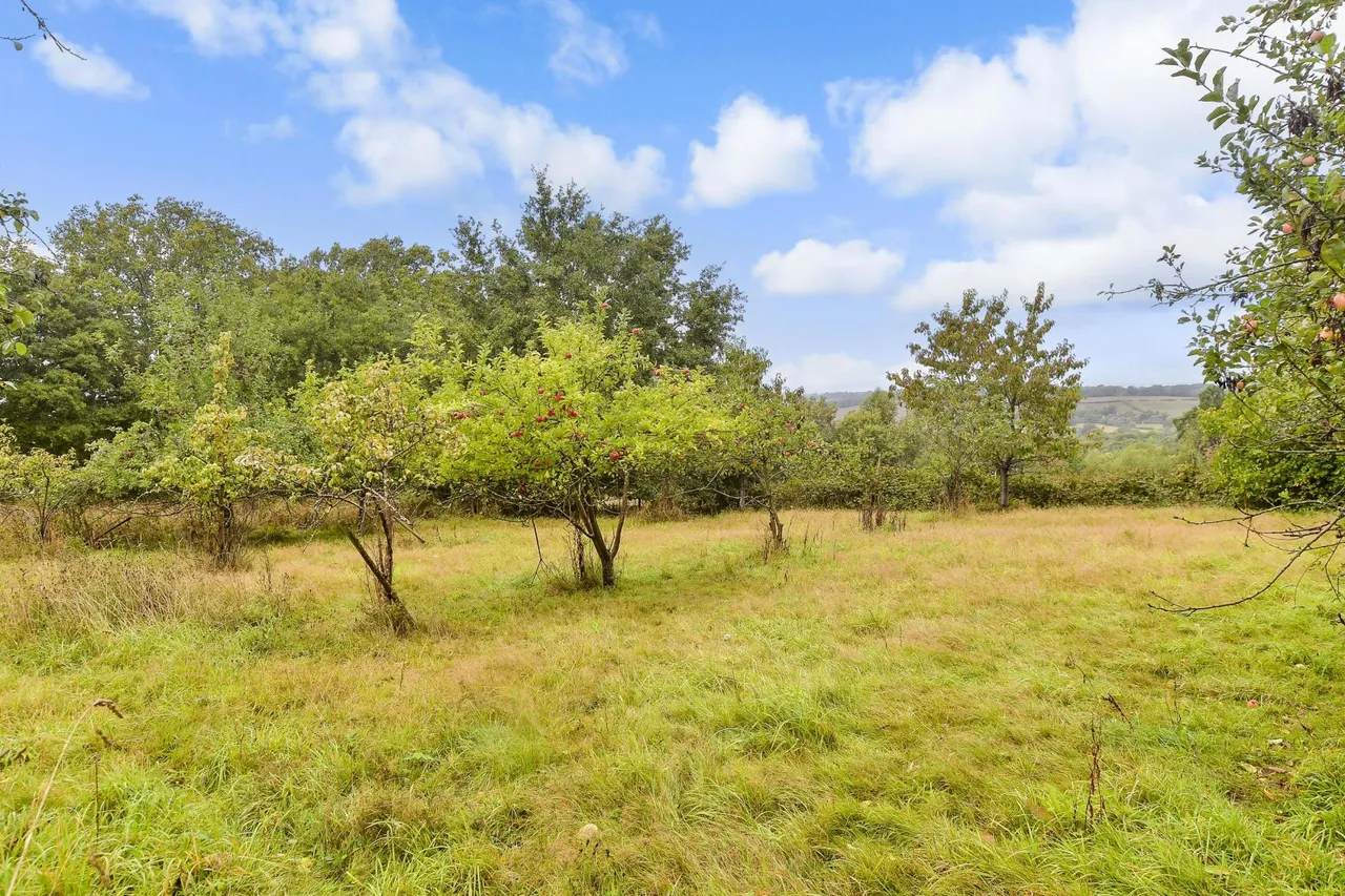 Ashurst Road, Ashurst, photo 38