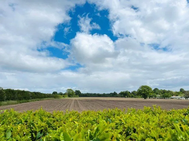 Breckles, Attleborough, Norfolk, NR17, photo 27