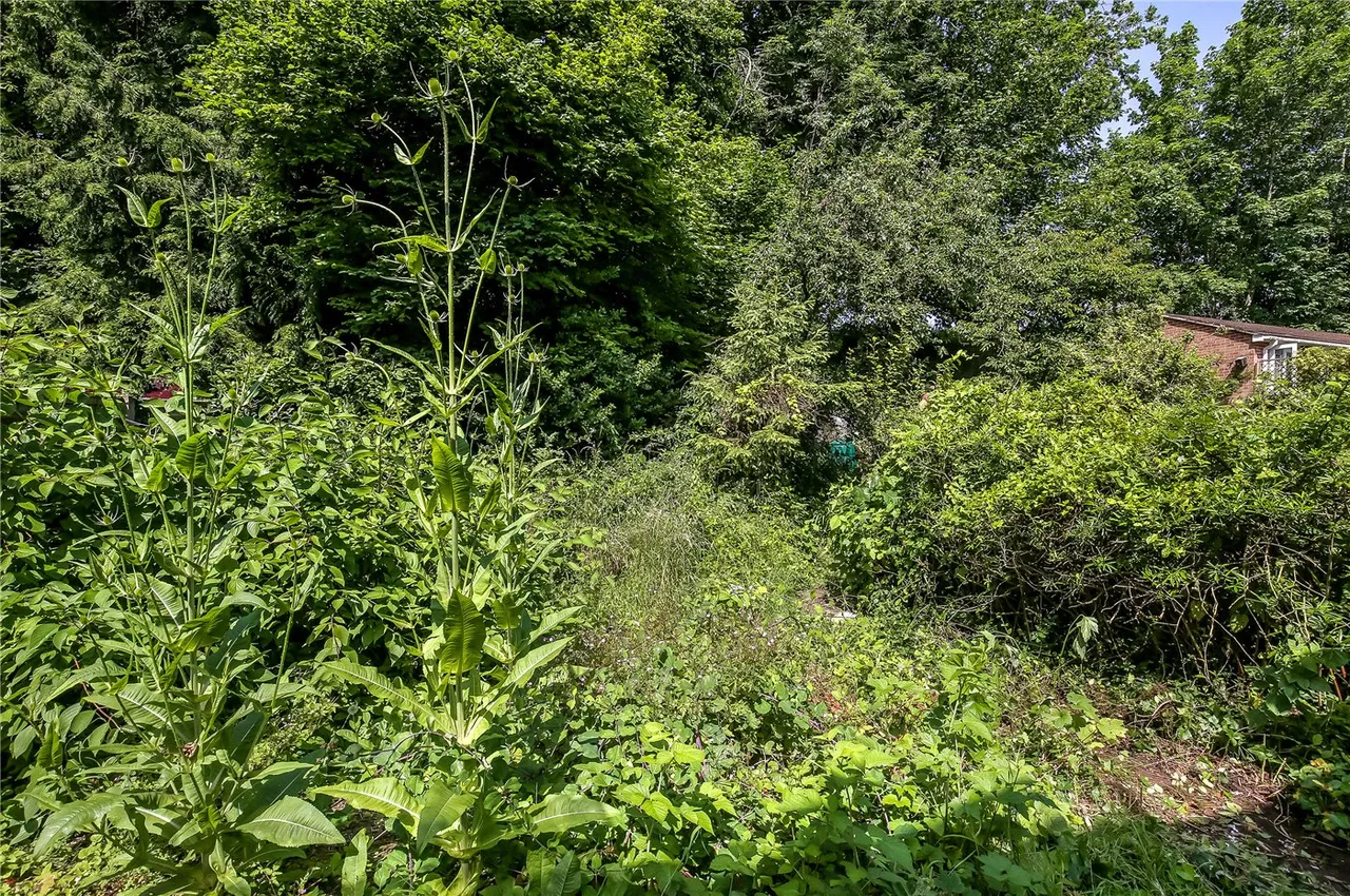 Hubert Road, Winchester, SO23, photo 7