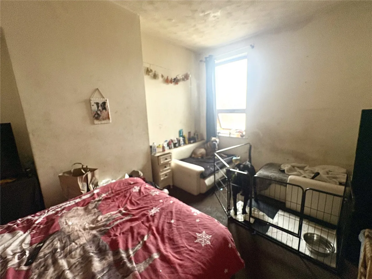 Caunce Street, Blackpool, FY1, photo 9