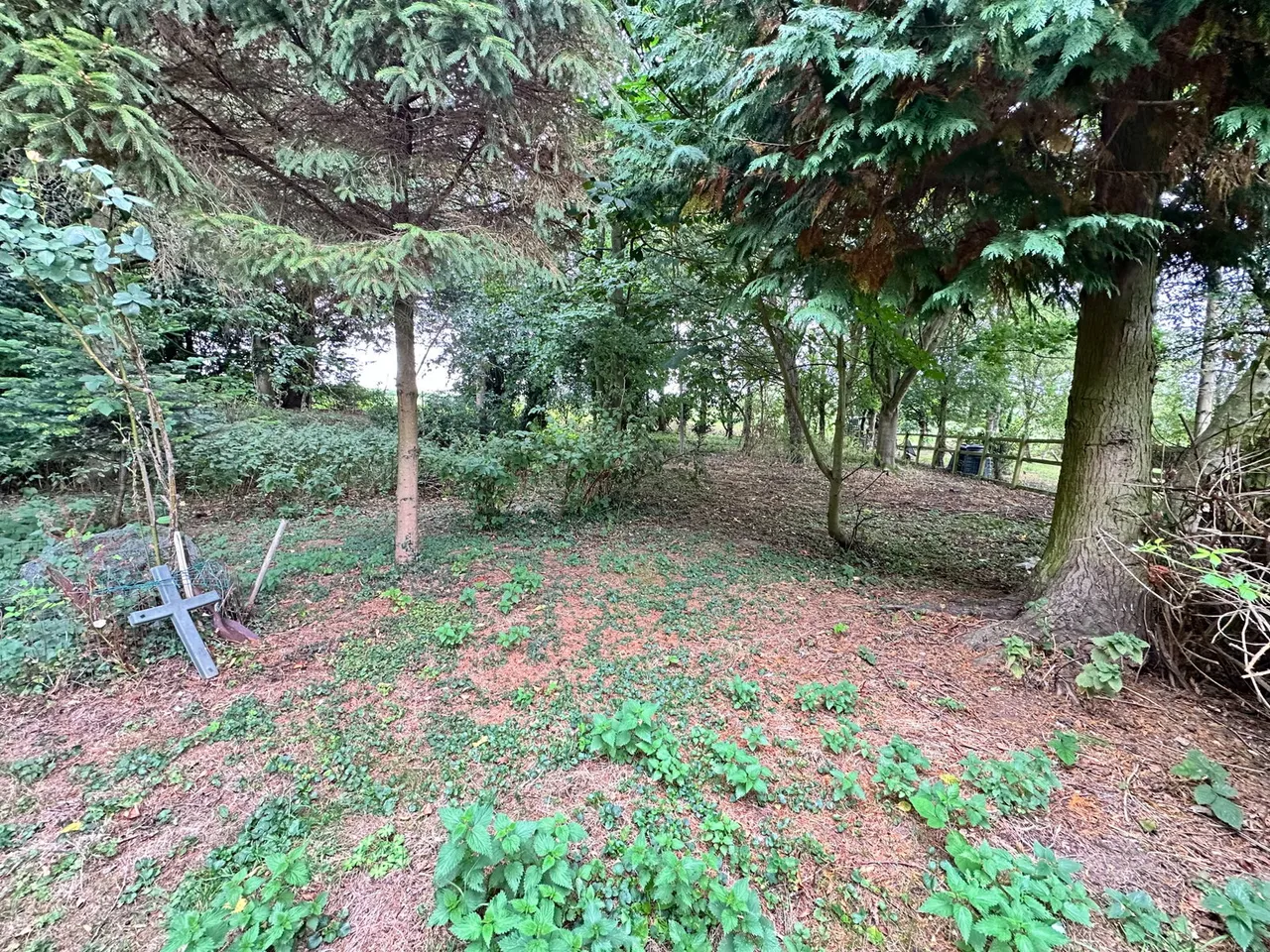 Moat Street, Gestingthorpe, Essex CO9 3AT, photo 5