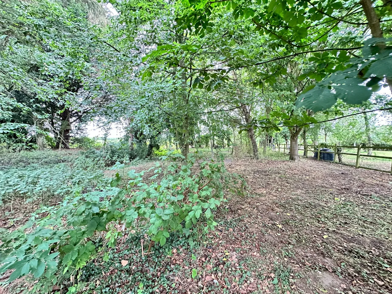 Moat Street, Gestingthorpe, Essex CO9 3AT, photo 6