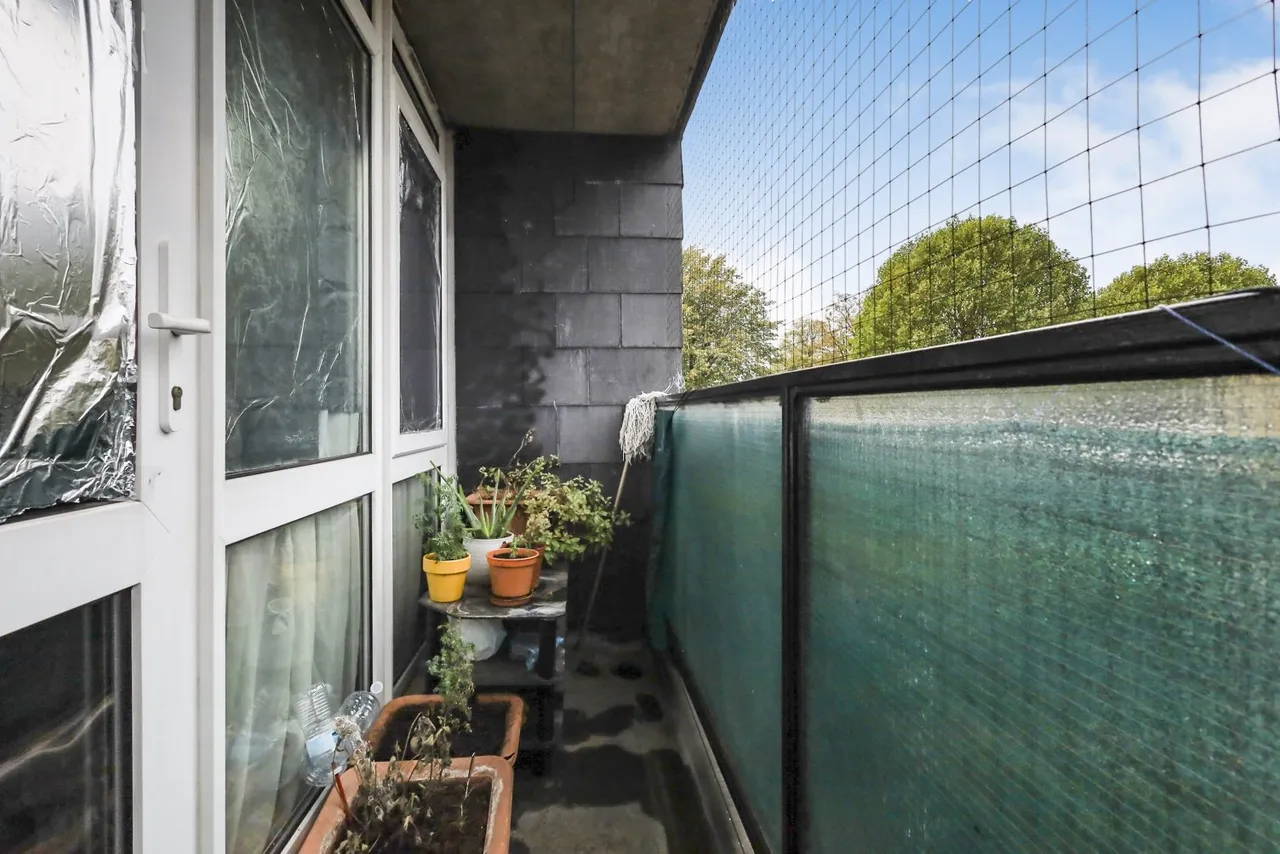 Blenheim Gardens, London, SW2, photo 24