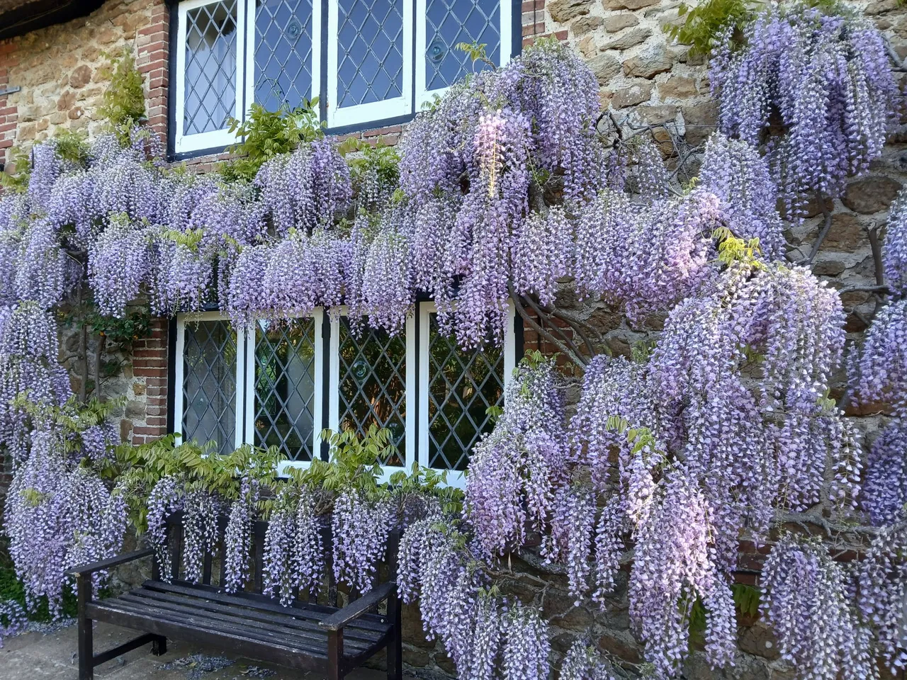 Nyetimber Lane, Aldwick, West Sussex, photo 5