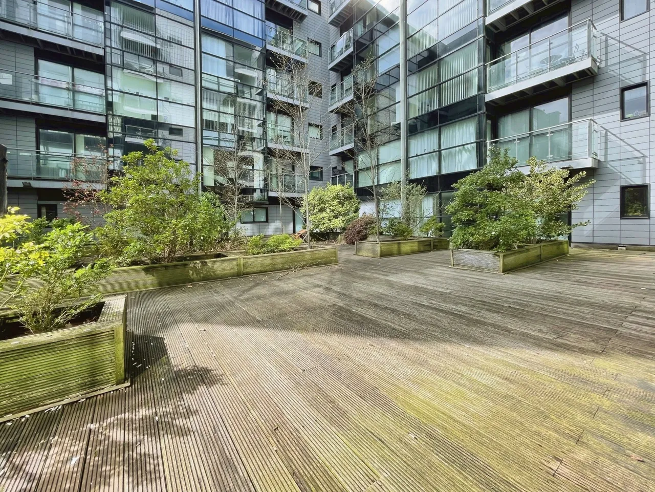 Pall Mall, Liverpool, L3, photo 7