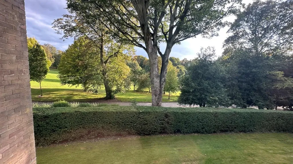 Lister Lane, Undercliffe, photo 10