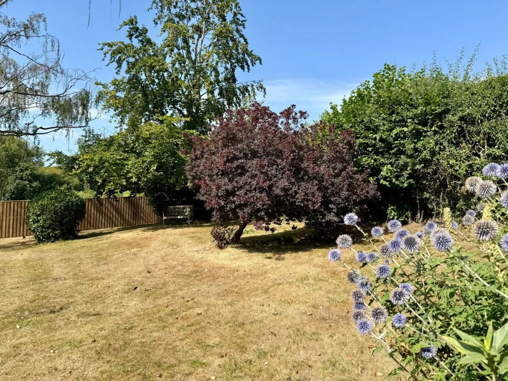 Linton ~ Linton Common, LS22, photo 33