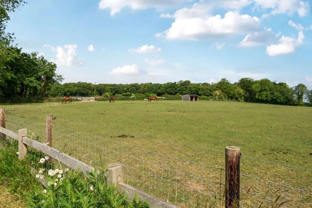 Amport, Andover, Hampshire, SP11 8BE, photo 4