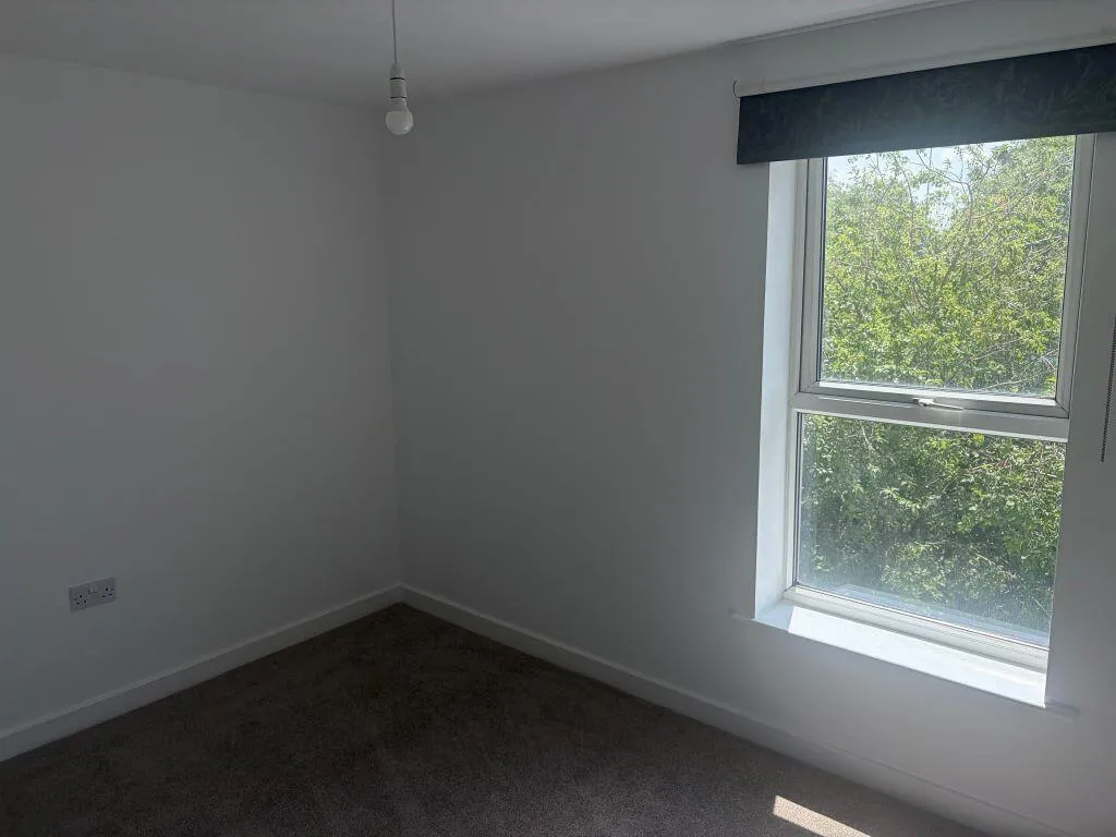 Wicks Place, Chelmsford, photo 12