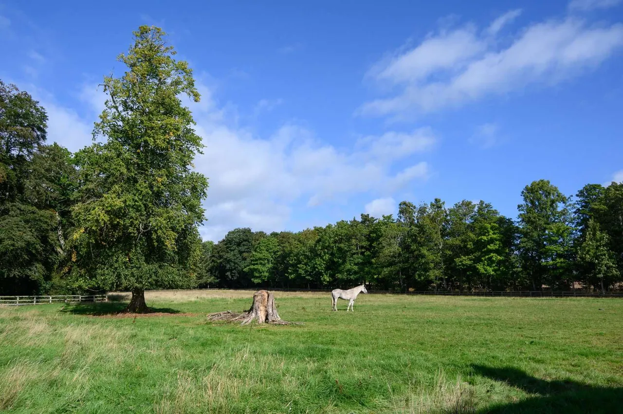 Clashleigh, Preston, TD11, photo 28