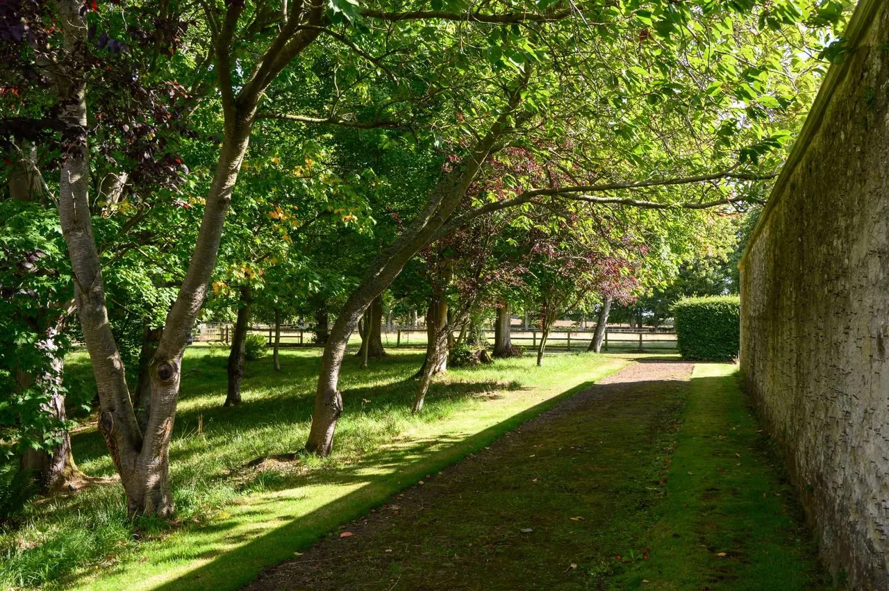 Clashleigh, Preston, TD11, photo 24