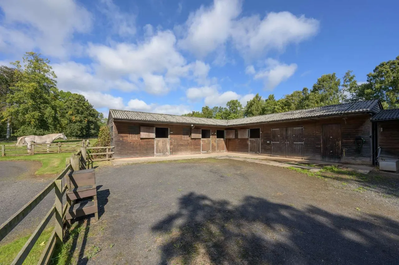 Clashleigh, Preston, TD11, photo 26