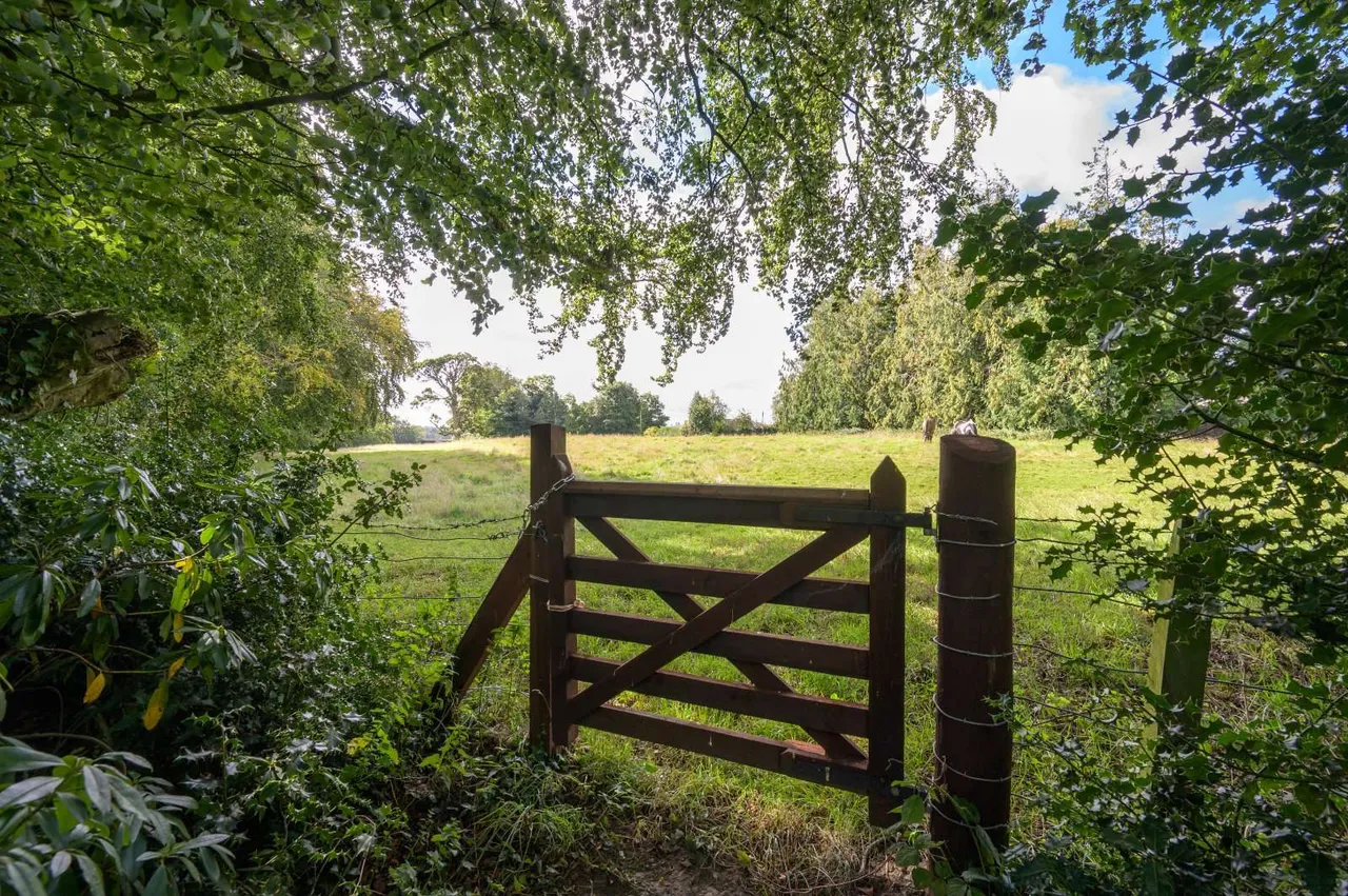 Clashleigh, Preston, TD11, photo 30