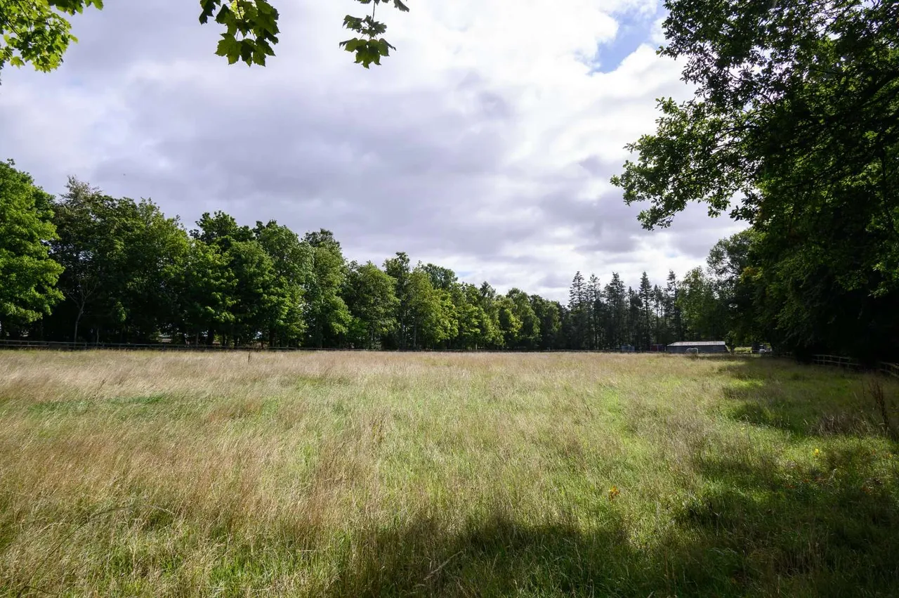 Clashleigh, Preston, TD11, photo 31