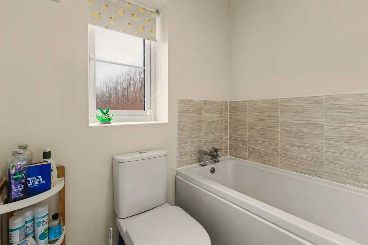 Tawny Grove, Coventry, CV4, photo 14