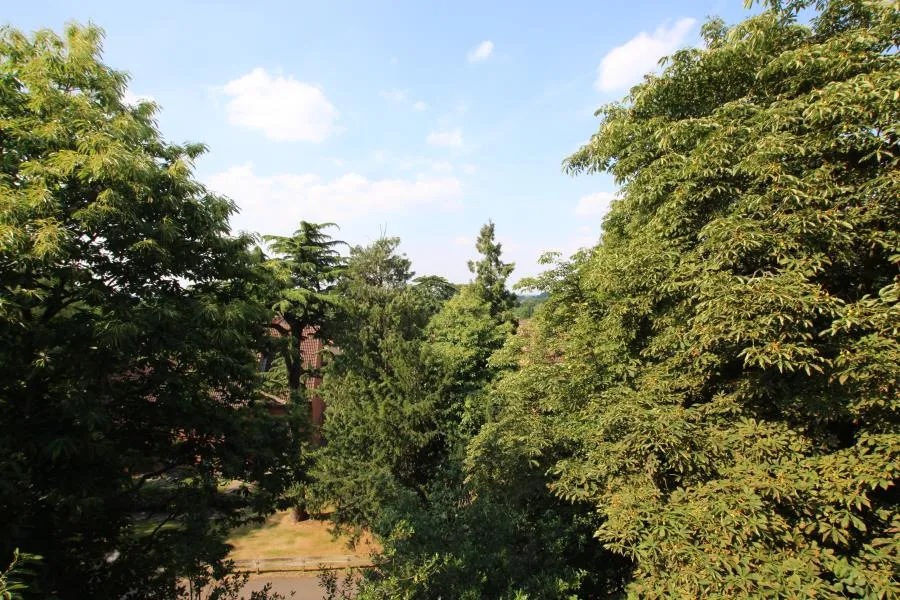 Beacon Hill, Woking, GU21, photo 9