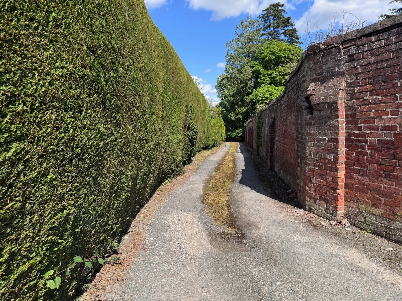 High Fawr Avenue, Oswestry, SY11, photo 20
