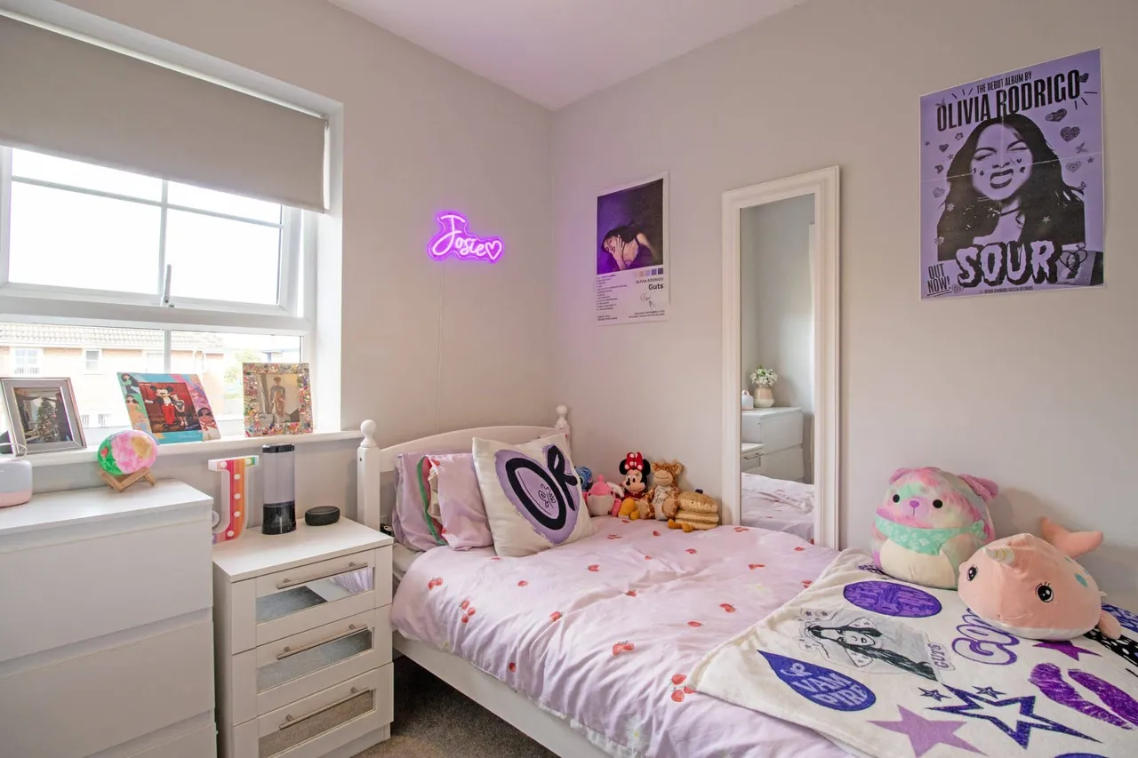 Osprey Drive, Scunthorpe, DN16, photo 22