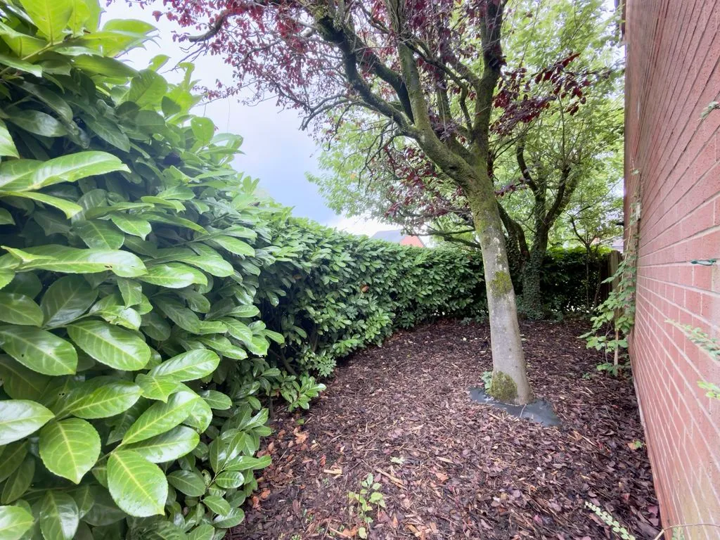For SaleCarrington Road, Adlington, photo 29