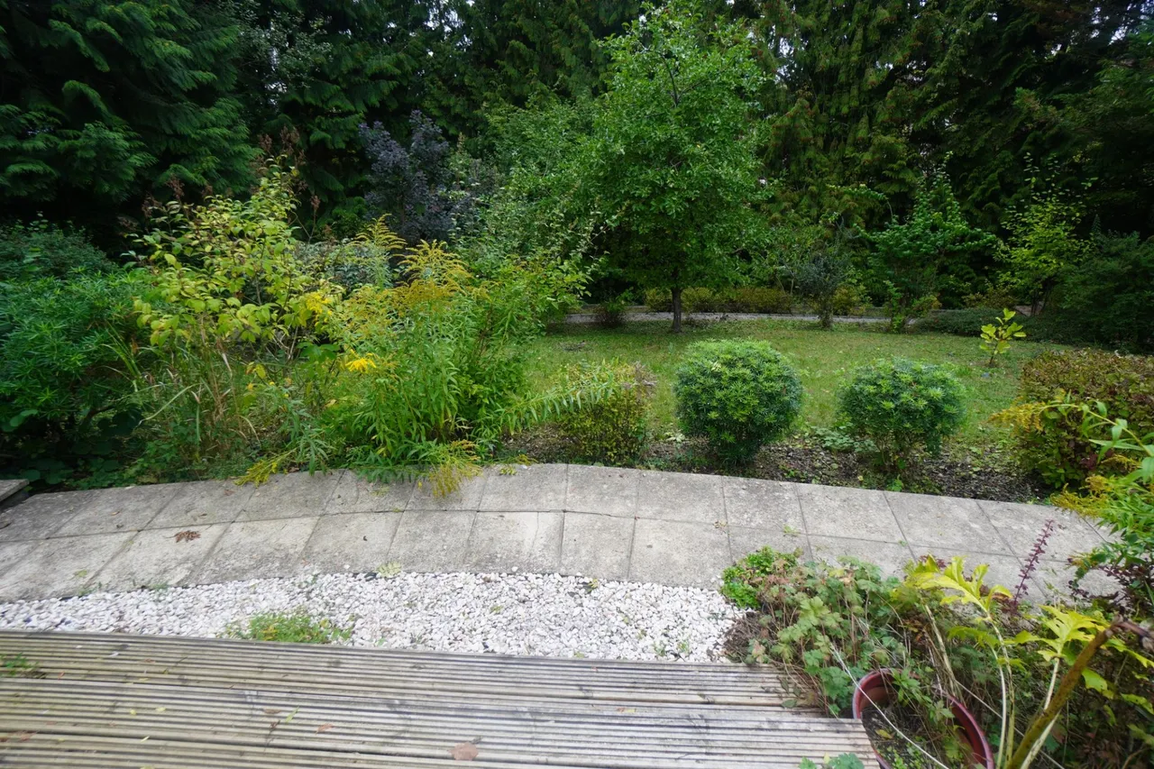 South Drive, High Wycombe, HP13, photo 21
