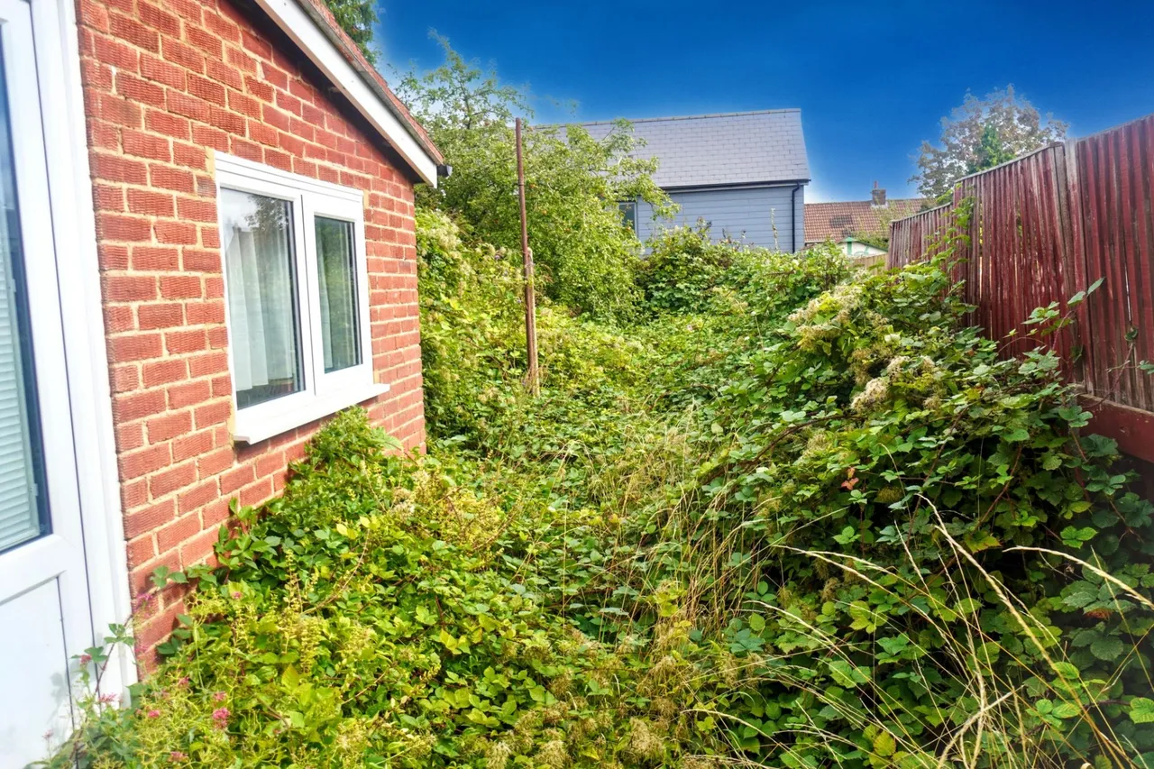 Rutland Avenue, High Wycombe, HP12, photo 9