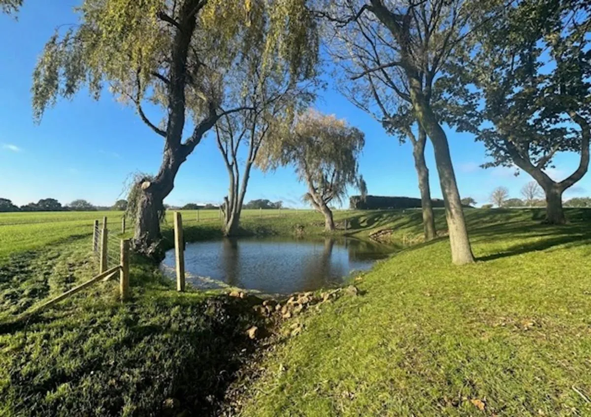 Inwoods Drive, Rugby, CV22, photo 14