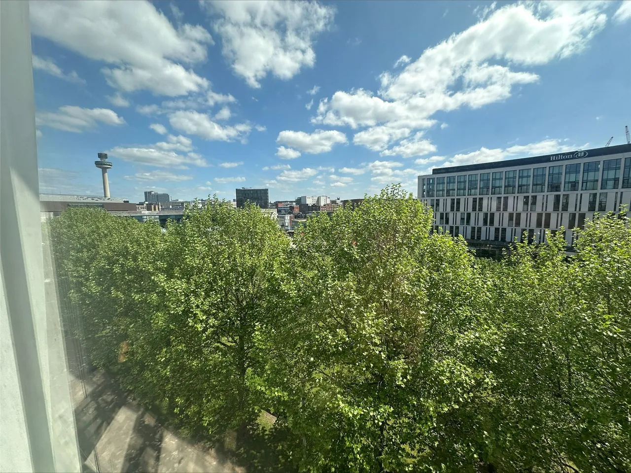Kenyons Steps, Liverpool, L1, photo 10