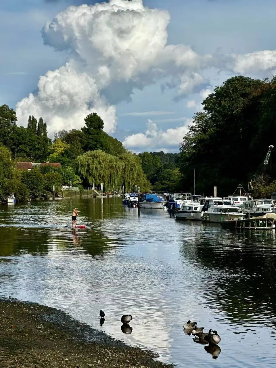 Twickenham Square, Twickenham, TW1, photo 2