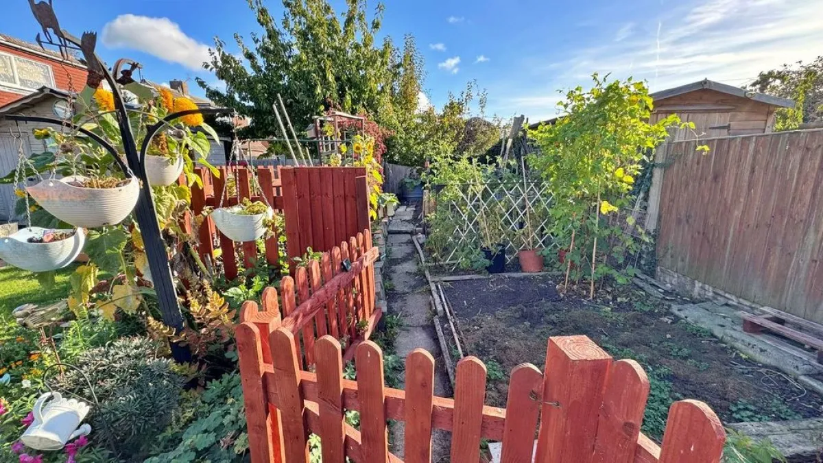 Dale Avenue, Cherry Willingham, photo 17
