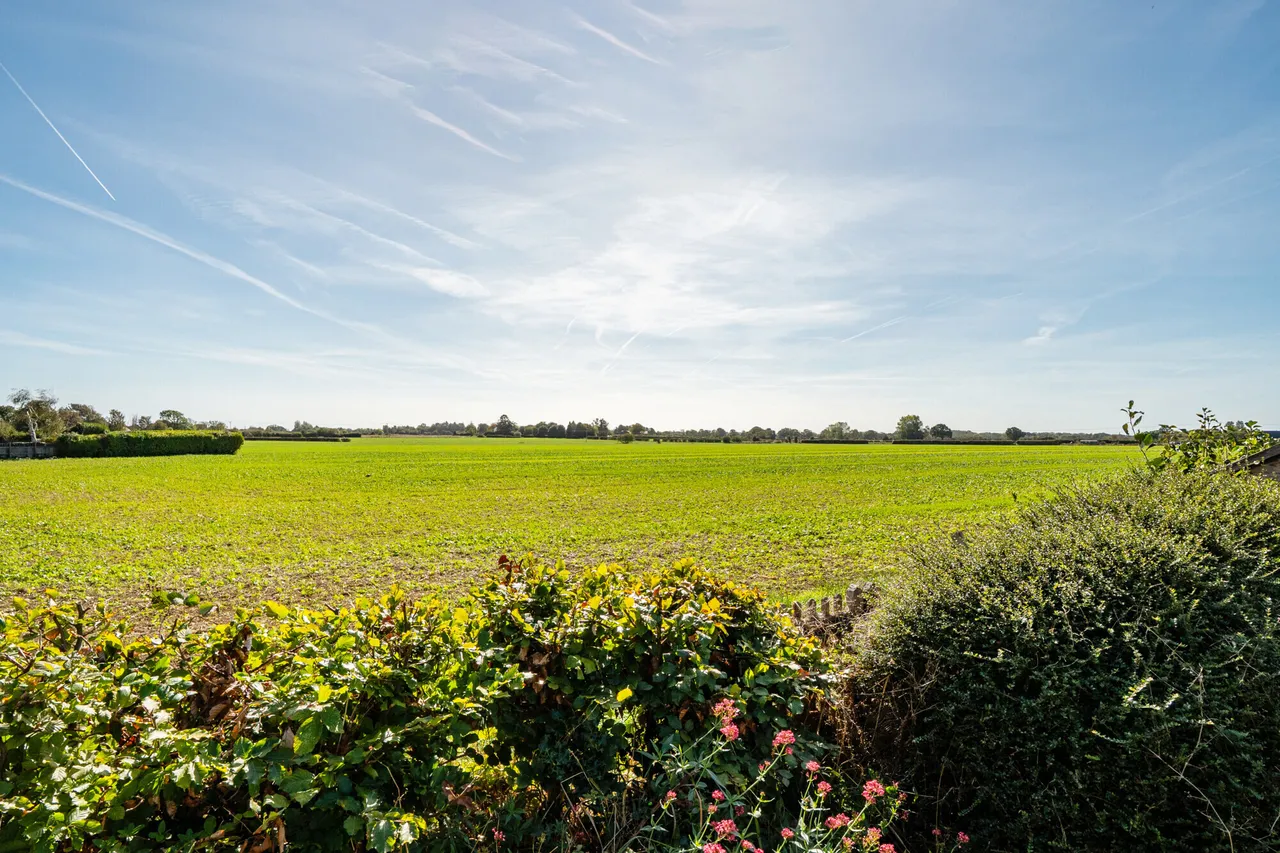 Birdham Road, Chichester, PO19, photo 8