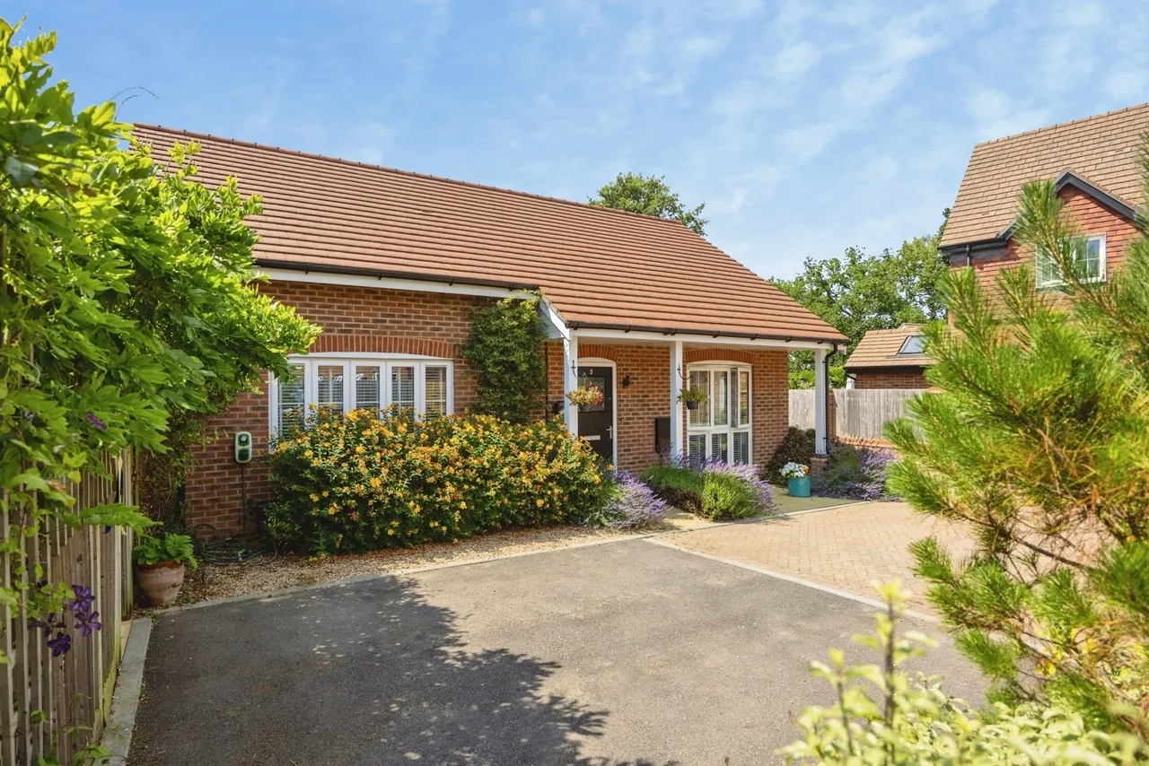 Magnolia Drive, Alfold, GU6, photo 17