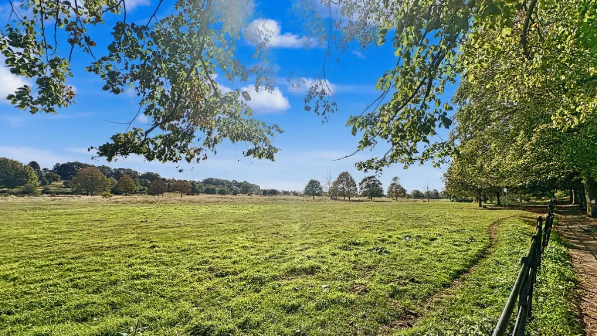 South Park, Lincoln, photo 15