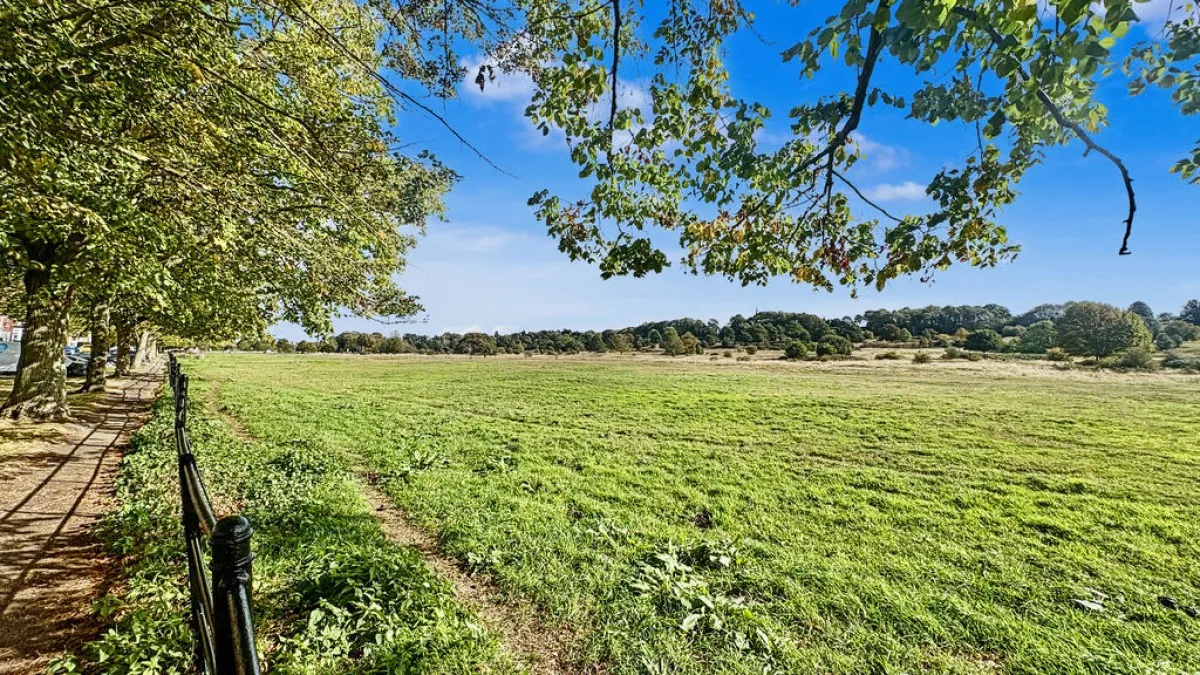 South Park, Lincoln, photo 16