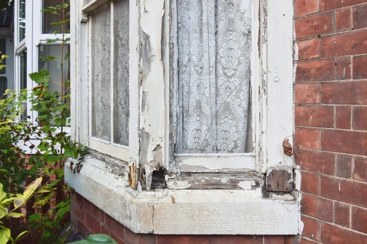 Crescent Road, Kidderminster, DY11, photo 15