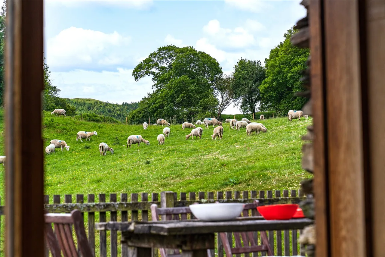 Pennal, Machynlleth, photo 20