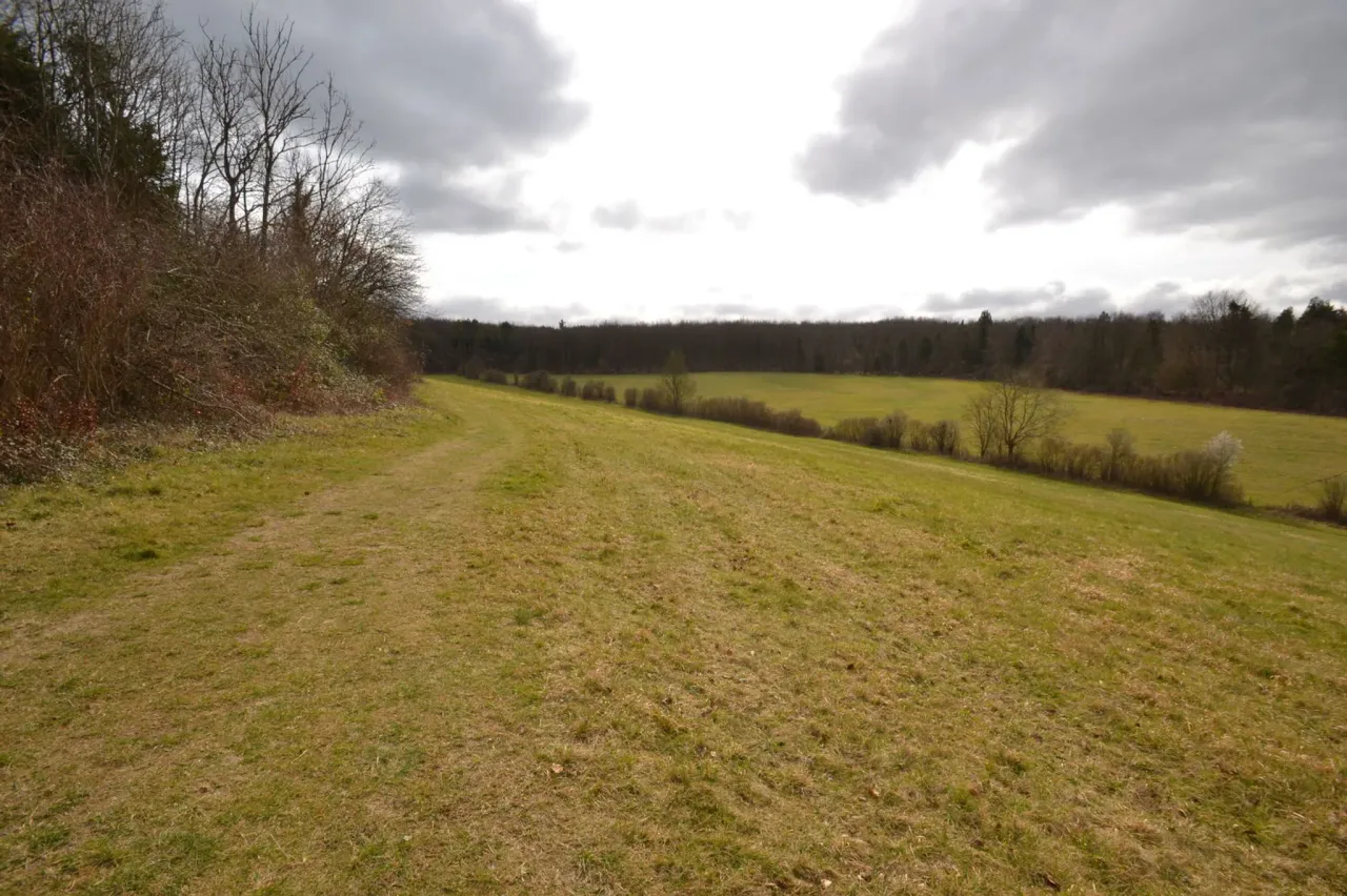 london lane , east horsley, Surrey, K..., photo 7