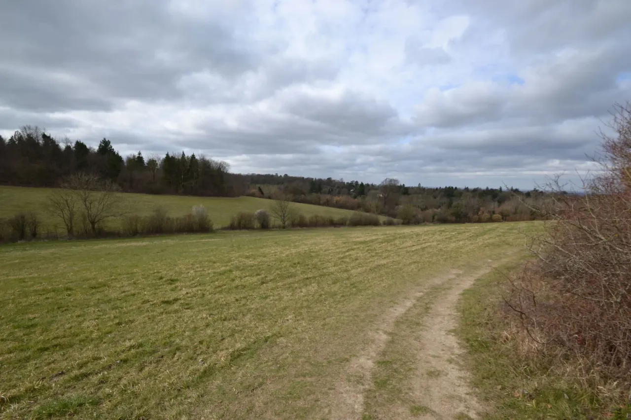 london lane , east horsley, Surrey, K..., photo 6