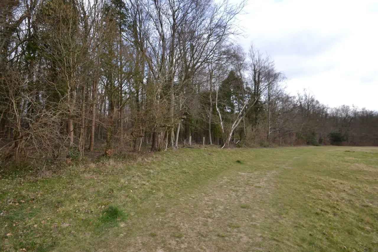 london lane , east horsley, Surrey, K..., photo 4
